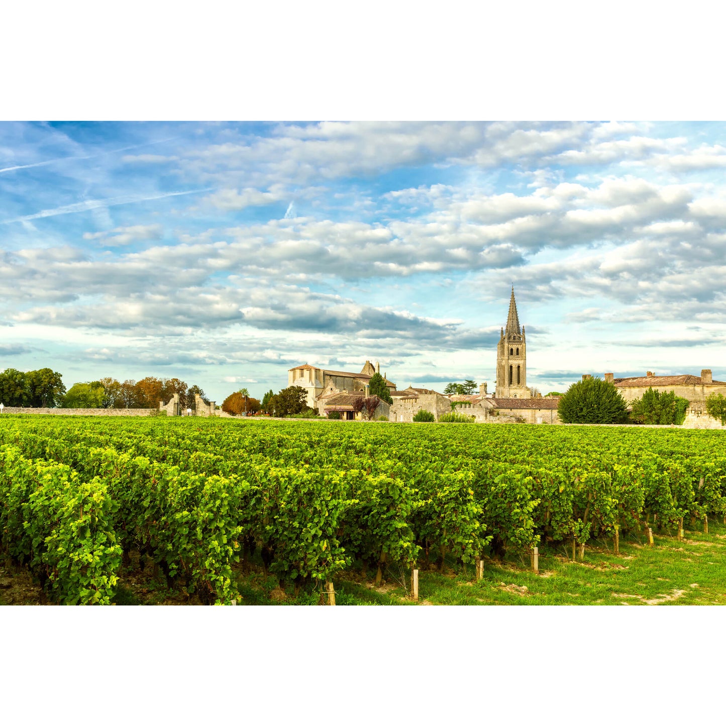 Bordeaux Wine Tasting - 10th November, 7:00pm - Woburn