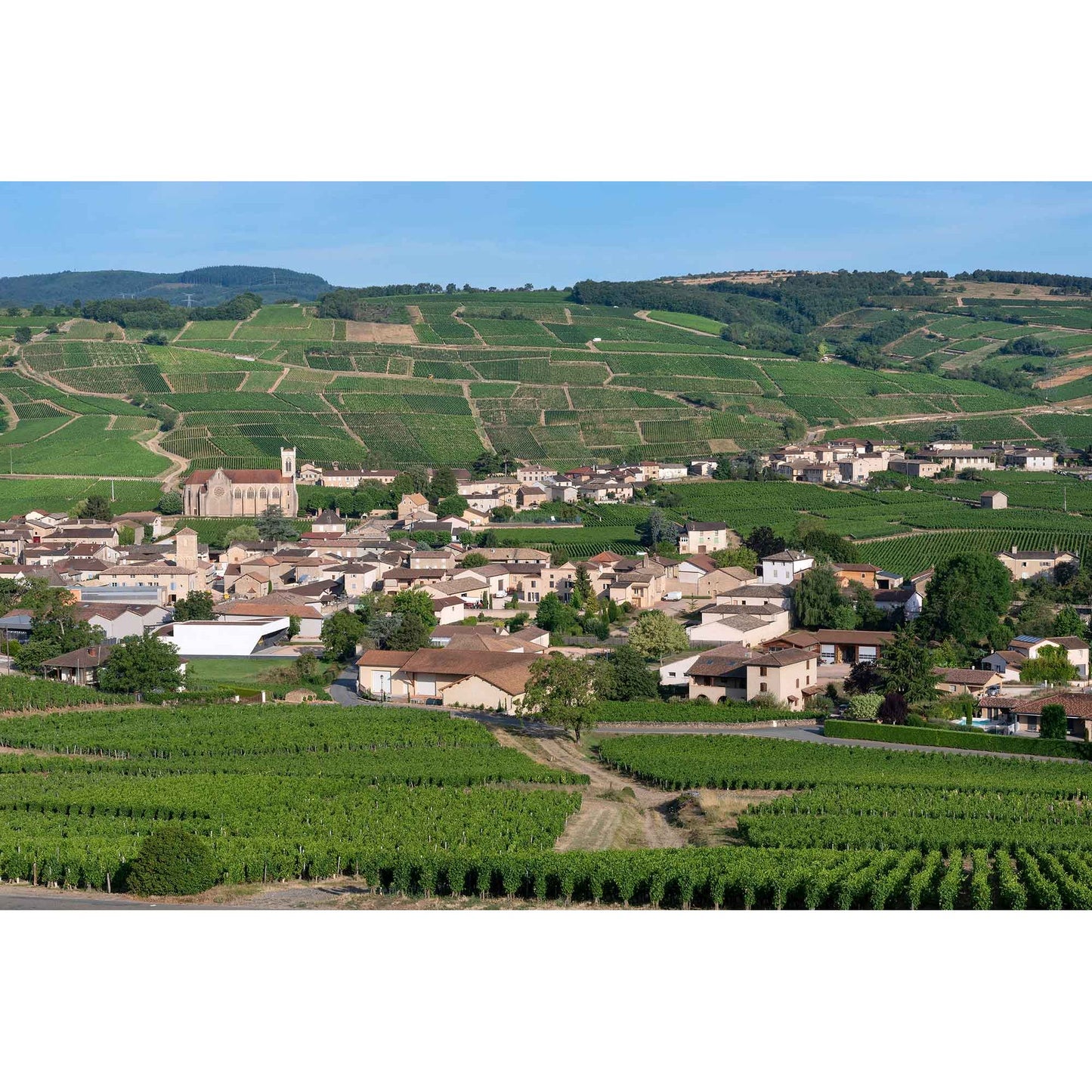 Burgundy Wine Tasting - 6th October, 7:00pm - Olney
