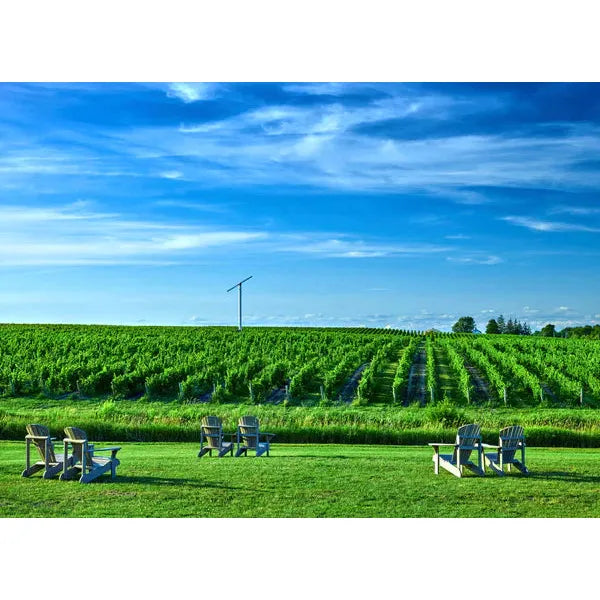 Niagara Peninsula & New York State Wine Tasting - 23rd November, 7:00pm - Stony Stratford