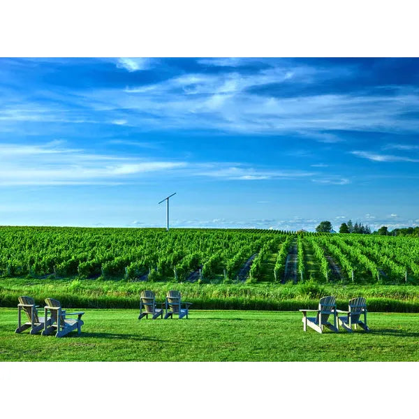 Niagara Peninsula & New York State Wine Tasting - 24th November, 7:00pm - Olney
